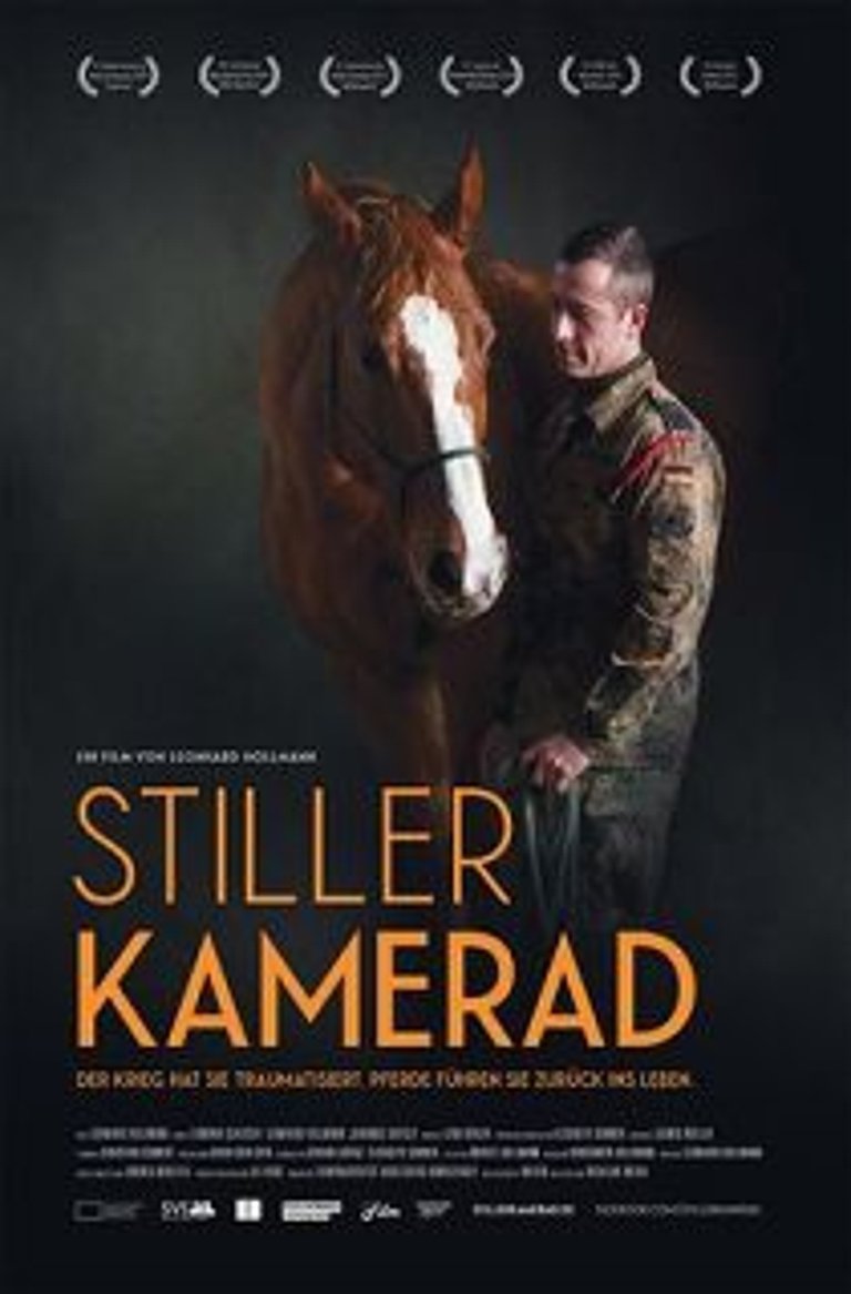 Filmplakat des Films Stiller Kamerad