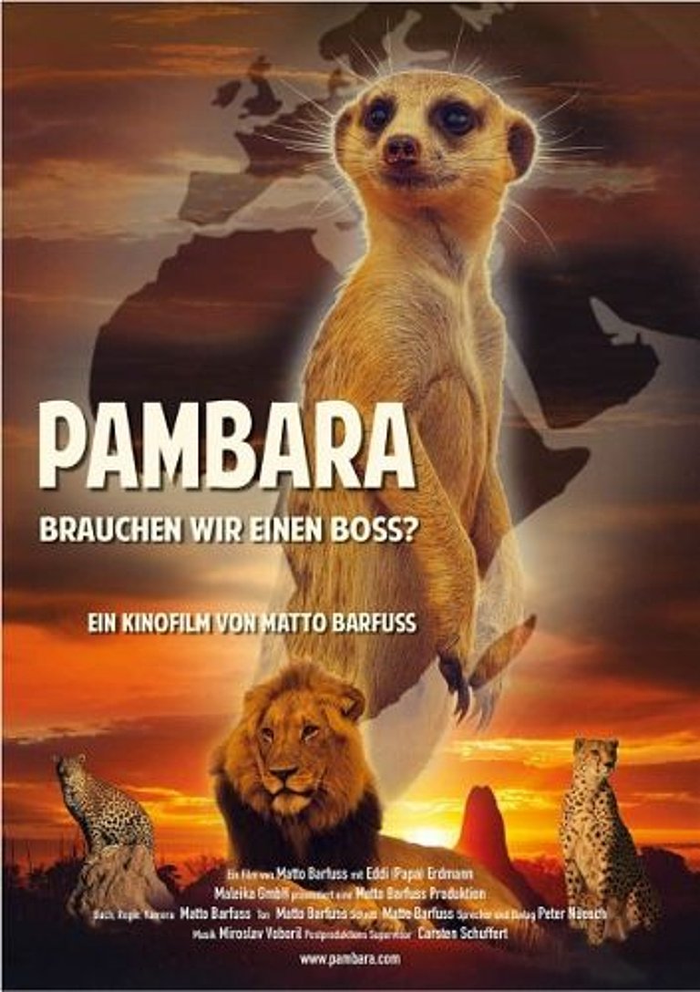 Filmplakat des Films Pambara - Brauchen wir einen Boss?